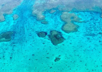 Estados Unidos monitorea la actividad china en el Mar de China Meridional en torno a un banco de arena en disputa