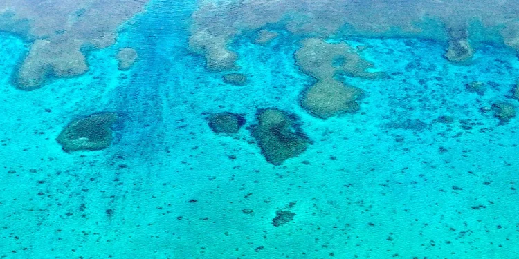 Estados Unidos monitorea la actividad china en el Mar de China Meridional en torno a un banco de arena en disputa Estados Unidos monitorea la actividad china en el Mar de China Meridional en torno a un banco de arena en disputa