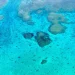 Estados Unidos monitorea la actividad china en el Mar de China Meridional en torno a un banco de arena en disputa
