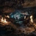 Hallazgo histórico: hace 14.400 años, un grupo y un perro iluminaron una cueva con ramas de pino Hallazgo histórico: hace 14.400 años, un grupo y un perro iluminaron una cueva con ramas de pino