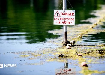 Las muertes por ahogamiento se disparan en Francia mientras Europa se hunde en el pico de la ola de calor