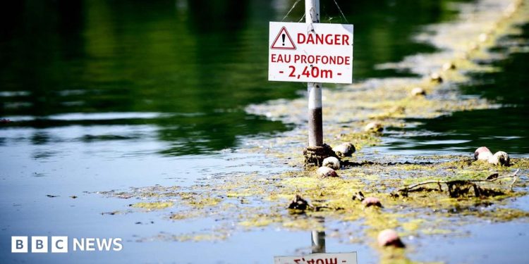 Las muertes por ahogamiento se disparan en Francia mientras Europa se hunde en el pico de la ola de calor