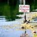 Las muertes por ahogamiento se disparan en Francia mientras Europa se hunde en el pico de la ola de calor