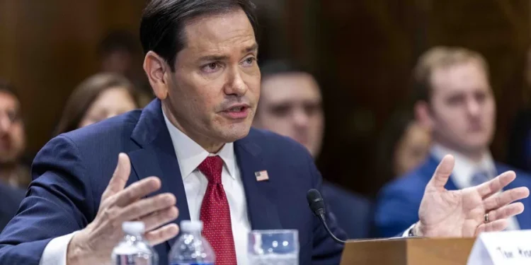 Marco Rubio pide condiciones para elecciones en Venezuela Marco Rubio pide condiciones para elecciones en Venezuela