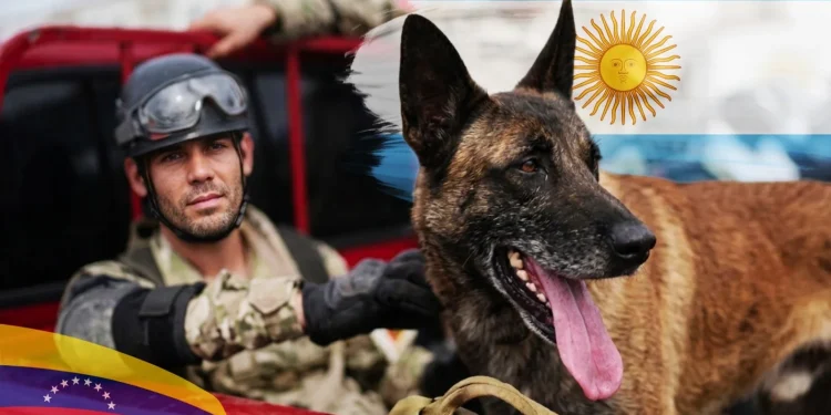 Militares argentinos rescataron a dos niños en Venezuela gracias a un perro especializado en búsqueda