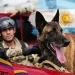Militares argentinos rescataron a dos niños en Venezuela gracias a un perro especializado en búsqueda
