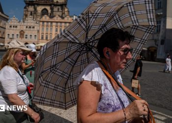 Ola de calor bate récords en Alemania, Dinamarca y República Checa