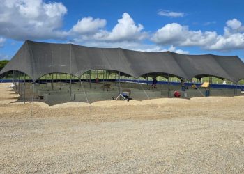Punta Bergantín apuesta por reforestación con vivero de especies nativas