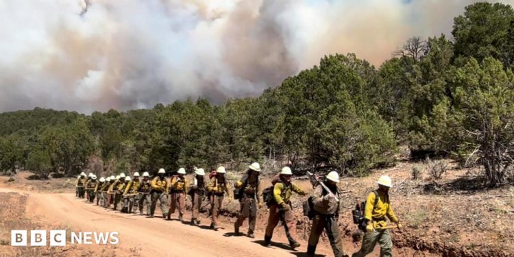 Three firefighters die battling huge wildfires in Colorado