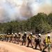 Three firefighters die battling huge wildfires in Colorado