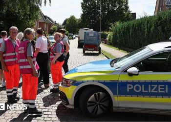 Tiroteo en un estadio: seis muertos en un centro de bienestar juvenil en el norte de Alemania