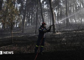 Un incendio forestal en Grecia deja dos muertos mientras los bomberos luchan por contener el incendio