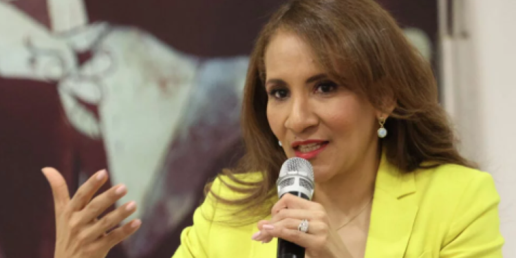 Vicepresidenta Del PLD Exige Integrar Datos Para Frenar Feminicidios. » Express Diario