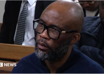 Vusimusi "Cat" Matlala: figura clave de la Comisión Madlanga de Sudáfrica se declara culpable