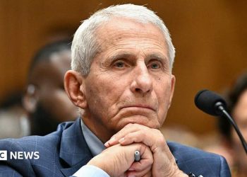 Anthony Fauci se niega a responder preguntas durante la audiencia del Senado de EE. UU. sobre los orígenes de Covid