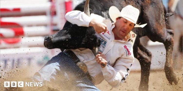 At the Calgary Stampede, the starting gun is fired in the fight over Alberta separation