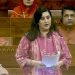 CJP: India's 'cockroach' protest brings Gen Z slang to parliament