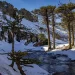 Cascada Escondida: el recorrido invernal que se convierte en uno de los grandes atractivos de Neuquén