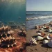 Científicos resuelven el misterio de la mayor extinción masiva de la Tierra Científicos resuelven el misterio de la mayor extinción masiva de la Tierra