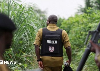 Comercio de drogas en Nigeria: cómo los cárteles mexicanos han subcontratado laboratorios de metanfetamina