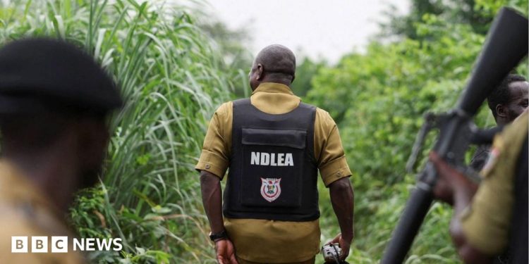Comercio de drogas en Nigeria: cómo los cárteles mexicanos han subcontratado laboratorios de metanfetamina