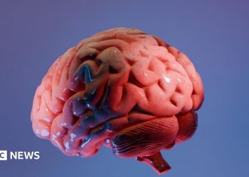 Cómo los científicos indios están trazando el mapa de la última frontera del cerebro