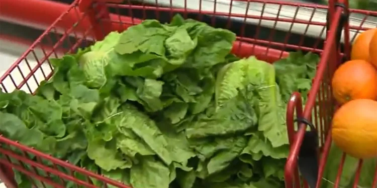 Cómo los recortes administrativos de Trump han comprometido la seguridad alimentaria