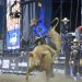 Cowboys, fighter jets and US Border Patrol - inside Trump's big recruitment drive Cowboys, fighter jets and US Border Patrol - inside Trump's big recruitment drive