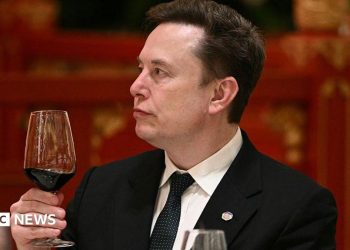 "Disfrutemos el viaje", dice Elon Musk, a medida que aumentan las preocupaciones sobre el riesgo de la IA