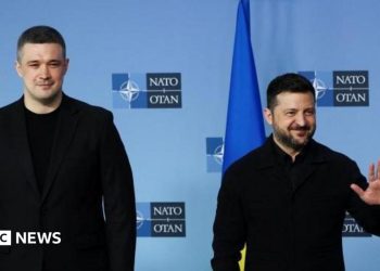 El derrocado jefe de Defensa de Ucrania rechaza la oferta de trabajo de Zelensky
