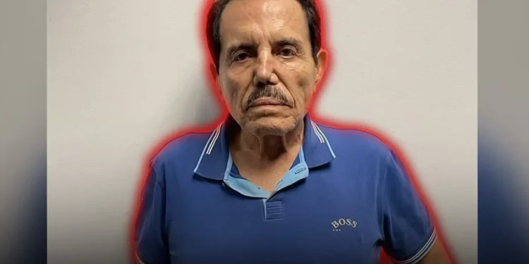 El narcotraficante Ismael ''El Mayo'' Zambada fue condenado a cadena perpetua en EEUU El narcotraficante Ismael ''El Mayo'' Zambada fue condenado a cadena perpetua en EEUU