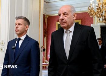 El parlamento húngaro vota para destituir al presidente de su cargo