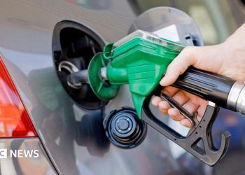 El precio del petróleo cae mientras Estados Unidos e Irán suspenden sus ataques