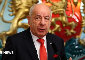 El presidente de Hungría acepta dimitir después de que el parlamento respalda su destitución