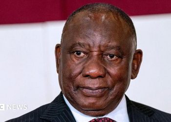 El presidente de Sudáfrica, Cyril Ramaphosa, gana el intento de detener temporalmente la investigación de juicio político por 'Farmgate'