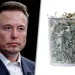 Elon Musk lanzó una impactante predicción sobre el dinero para 2036