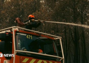 España y Francia se preparan para nuevas olas de calor a medida que los incendios forestales se acercan a Burdeos