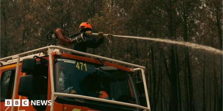 España y Francia se preparan para nuevas olas de calor a medida que los incendios forestales se acercan a Burdeos España y Francia se preparan para nuevas olas de calor a medida que los incendios forestales se acercan a Burdeos