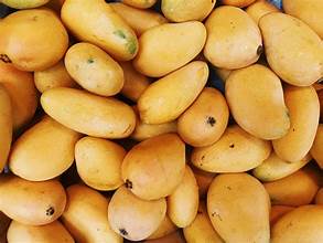 Estados Unidos suspende importación de mango desde RD tres años después de alerta sobre mosca de la fruta Estados Unidos suspende importación de mango desde RD tres años después de alerta sobre mosca de la fruta