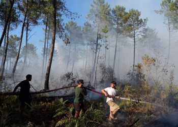 Francia evacua a 4.000 personas mientras el calor amenaza la lucha contra los incendios forestales en toda Europa