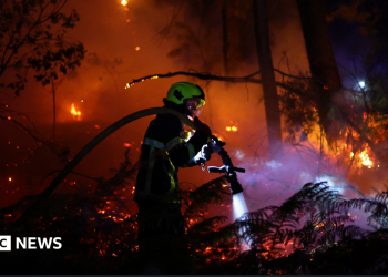 Francia lucha contra "torbellinos" de incendios mientras otras 55.000 personas son evacuadas