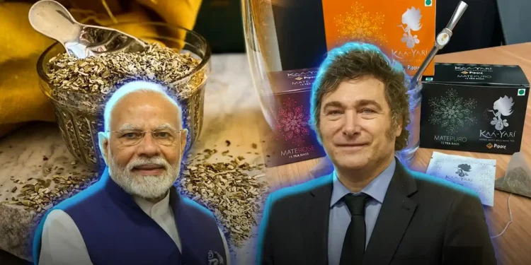 Histórico: India habilitó la importación comercial de yerba mate argentina