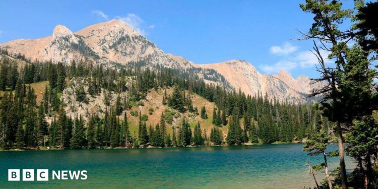 How the 'Yellowstone effect' transformed one rugged western American city How the 'Yellowstone effect' transformed one rugged western American city