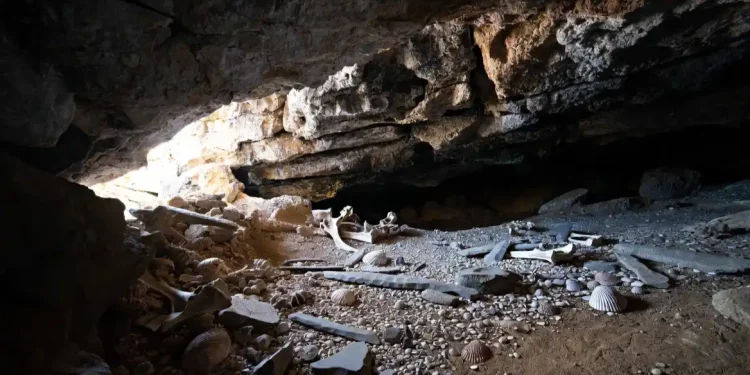 Humanos modernos y neandertales compartieron cultura durante miles de años