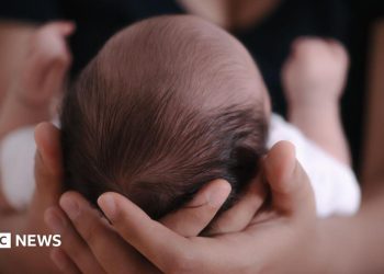 Indonesia Singapur Tráfico de bebés: ¿Qué pasa ahora con los bebés?