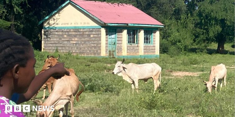 Kenya's vanishing rural schools - and why a new curriculum may be to blame