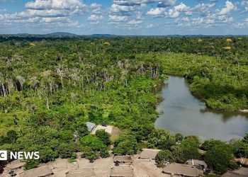 La Amazonía brasileña sufre una fuerte disminución de la superficie quemada en 2025
