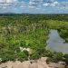 La Amazonía brasileña sufre una fuerte disminución de la superficie quemada en 2025