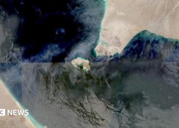Los ataques hutíes aumentan el temor a un conflicto más amplio en Oriente Medio y a un mayor daño económico global