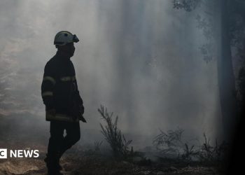 Los incendios forestales en Gironda aumentan mientras la región francesa se prepara para una nueva ola de calor de 40°C